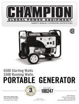 Champion Power Equipment100247