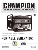 Champion Power Equipment42455