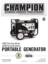 Champion Power Equipment100246