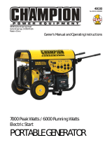 Champion Power Equipment40030