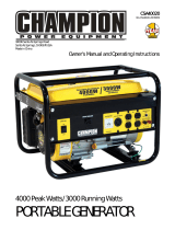 Champion Power Equipment40020