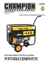 Champion Power EquipmentCSA40036