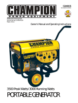 Champion Power Equipment40015