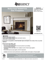 Regency Fireplace ProductsBellavista B36XTCE