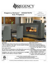 Regency Fireplace ProductsHorizon HZ42STEPV