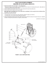 Mi-T-M Pilot Valve Replacement ABS/AM2-30 & 80 Gallon Owner's manual