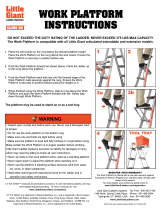 Little Giant Ladders10104-002