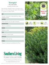 Southern Living Plant Collection 08072 Specification