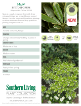 Southern Living Plant Collection 47912 Specification
