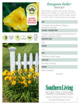 Southern Living Plant Collection 2499Q User manual