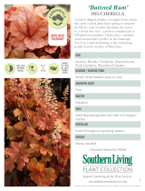 Southern Living Plant Collection 2393Q User manual
