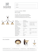 Golden Lighting 00510MPRBZ User manual