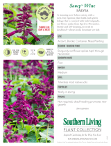 Southern Living Plant Collection 5407Q User manual