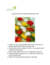 Bloomsz 9484 User manual