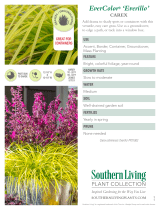 Southern Living Plant Collection 0732Q User manual