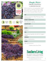 Southern Living Plant Collection 42053 User manual