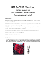 Black Diamond CRMBCR01G User manual