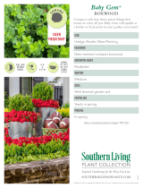 Southern Living Plant Collection 0609Q User manual