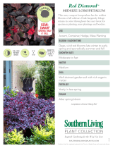 Southern Living Plant Collection 4209Q User manual
