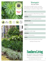 Southern Living Plant Collection 08072 User manual