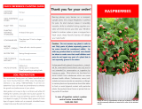 NPN NATIONAL PLANT NETWORK HD2039 User manual