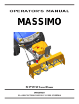 M MASSIMO MOTOR ZLST13150 User manual