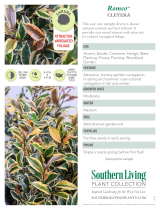 Southern Living Plant Collection 55052 User manual