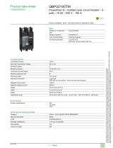 Square D QBP22100TM User manual