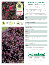 Southern Living Plant Collection 4199Q User manual