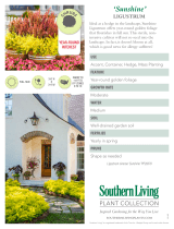 Southern Living Plant Collection 39533 User manual