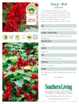 Southern Living Plant Collection 5406Q User manual
