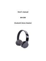 Sungale BH-530 User manual