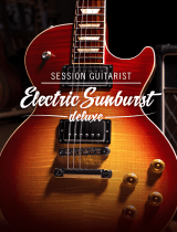 Native InstrumentsSESSION GUITARIST – ELECTRIC SUNBURST DELUXE