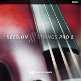 Native InstrumentsSESSION STRINGS PRO 2
