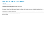 Dell P1913S User guide