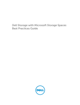 Dell DSMS 3060e User guide