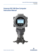 Remote Automation Solutions FB1100 Flow Computer