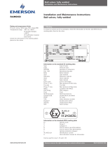 Raimondi Ball Valves, Trunn Mount, Full Weld, Model 5600, IOM Owner's manual