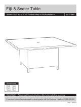 Fiji 23 User manual