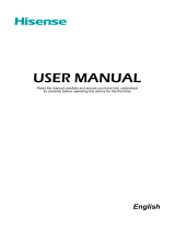 Hisense 8043801 User manual