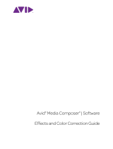 Avid Media Composer 2018.x User guide