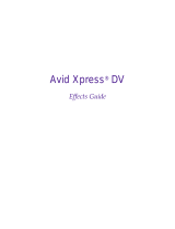 Avid Xpress DV 2.0 User guide