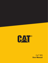 Caterpillar CATCAT B35