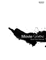 Sony Vegas MovieVegas Movie Studio 12.0 Platinium