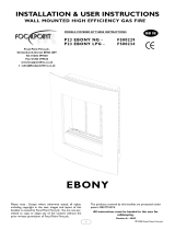 Focal Point P23 EBONY NG User manual