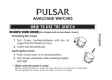 Pulsar V789 Owner's manual