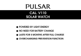 Pulsar V110 Owner's manual