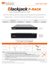 Digital Watchdog Blackjack P-Rack DW-BJPR2U Installation guide