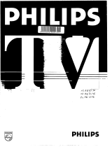 Philips 21AB3556 Owner's manual