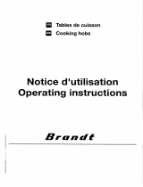 Groupe Brandt BIG60B Owner's manual